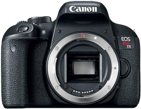 Canon EOS REBEL T7i Review