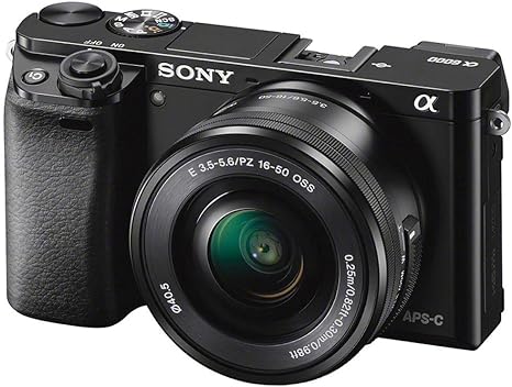 Sony Alpha a6000 Review