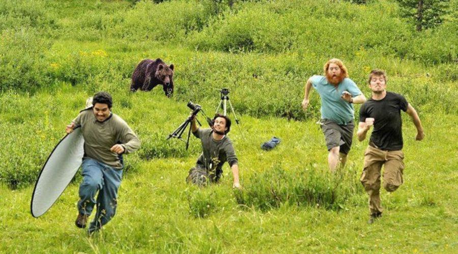 dudes running away from grisly beer - Wildlife Photography