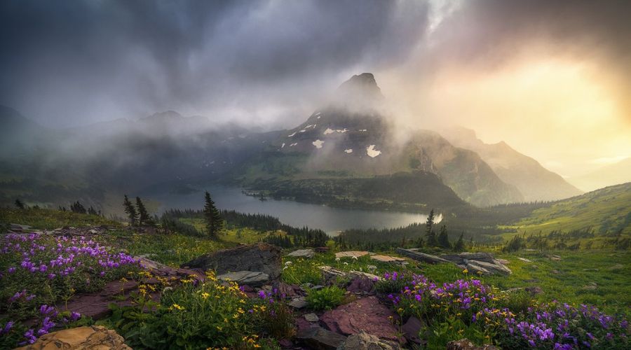 photo of a landscape dominated by fog, enhancing the mood and showing off composition techniques