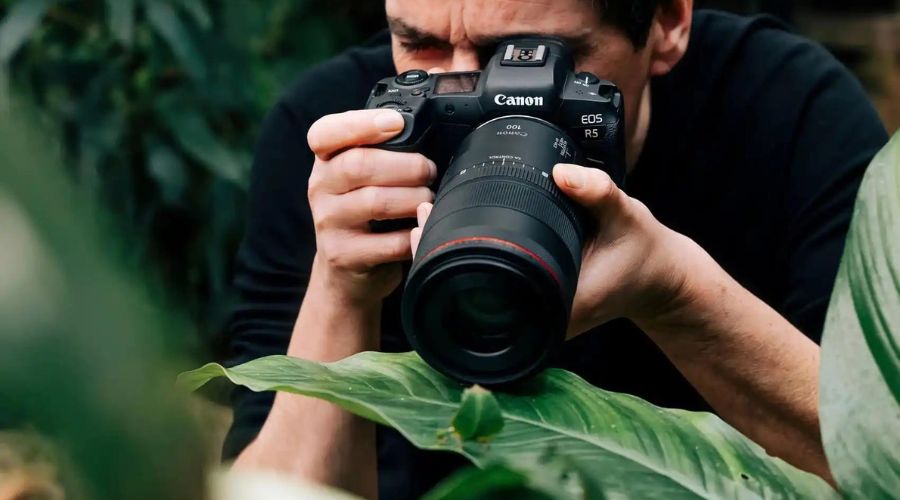 Equipment for Insect Photography