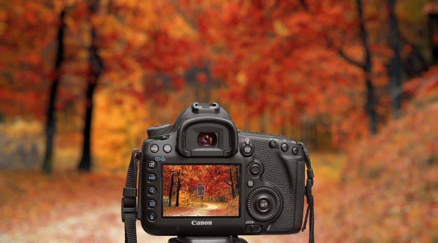 Gear for Autumn Photography