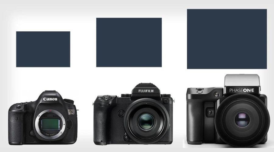 Medium Format vs Full Frame Cameras