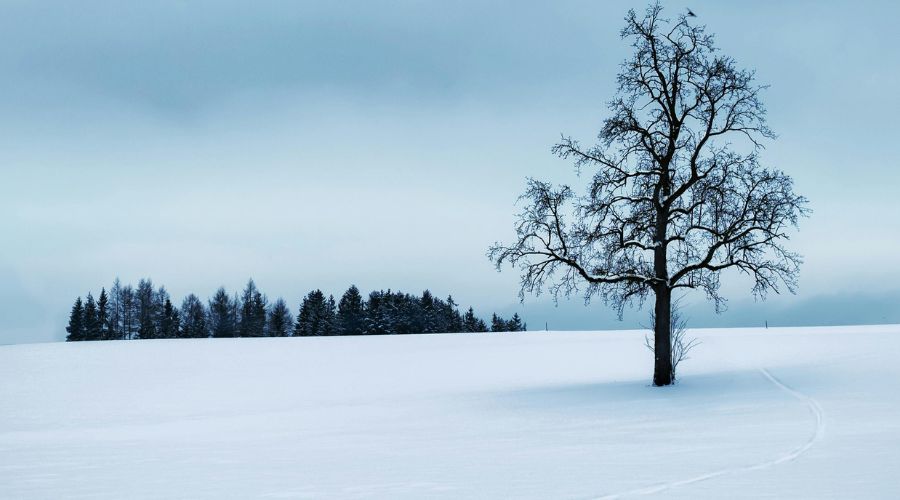 Winter Landscape Photography