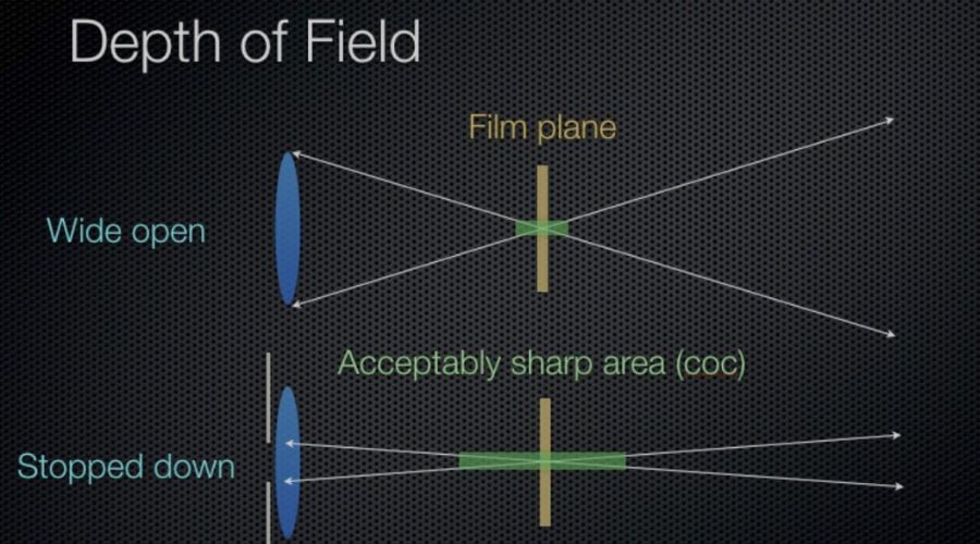 camera Focusing Techniques for Crisp Images